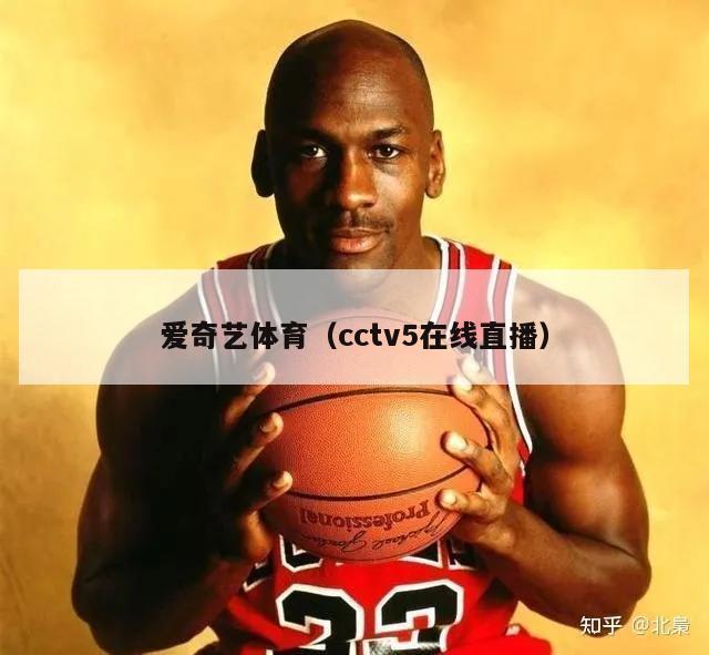 爱奇艺体育（cctv5在线直播）-第1张图片-2024欧洲杯直播_NBA直播_无插件直播-360直播网