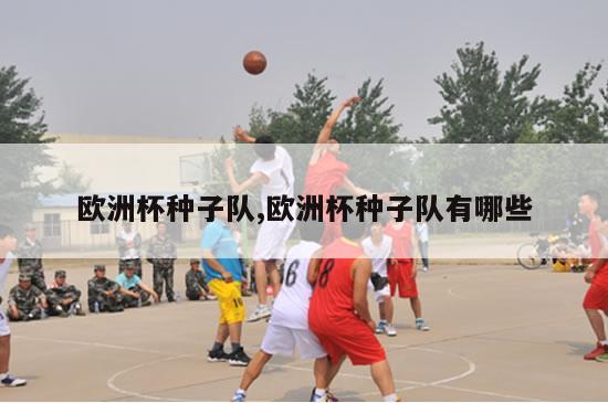 欧洲杯种子队,欧洲杯种子队有哪些-第1张图片-2024欧洲杯直播_NBA直播_无插件直播-360直播网